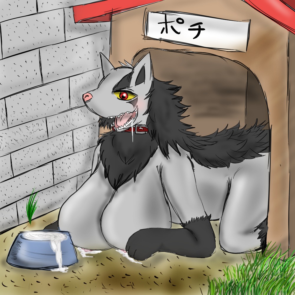 all_fours anthro artist_request bowl breasts collar color doghouse female female_only fur furry mightyena nude pokemon rule34 solo tagme