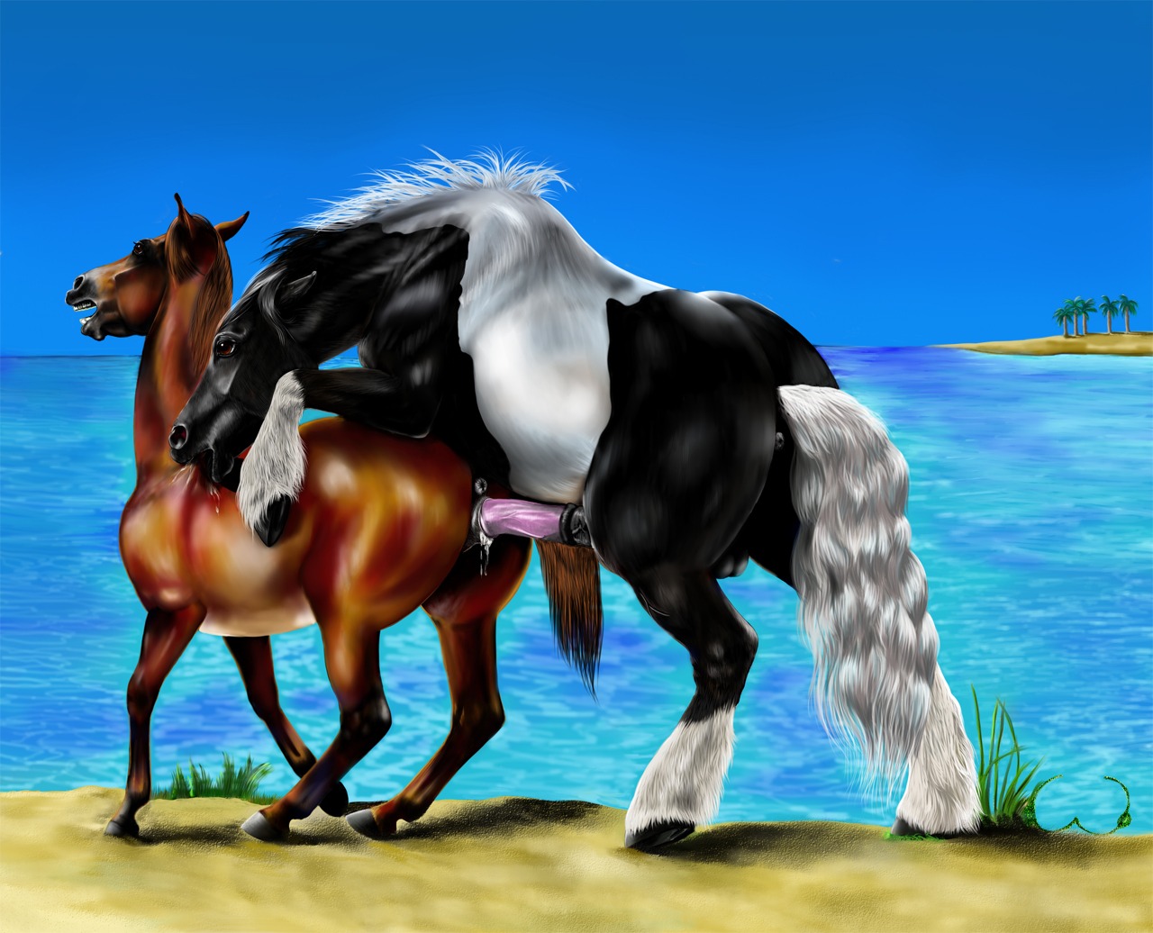 2012 animal_genitalia animal_penis backsack balls beach boobcat butt detailed_background duo e621 equid equine equine_genitalia equine_penis erection female female_penetrated feral feral_on_feral from_behind_position genitals hooves horse male male/female male_penetrating male_penetrating_female mammal nude outside penetration penile penile_penetration penis penis_in_vagina quadruped sand seaside sex sex_on_the_beach sky tail vaginal vaginal_penetration vulva water
