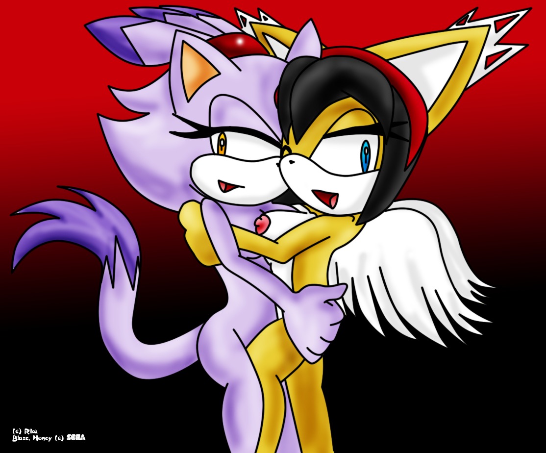 2d anthro blaze_the_cat domestic_cat feline female furry honey_the_cat mobian mobian_(species) mobian_cat riku_(artist) rule34 sega sonic_(series) sonic_the_fighters sonic_the_hedgehog_(series)