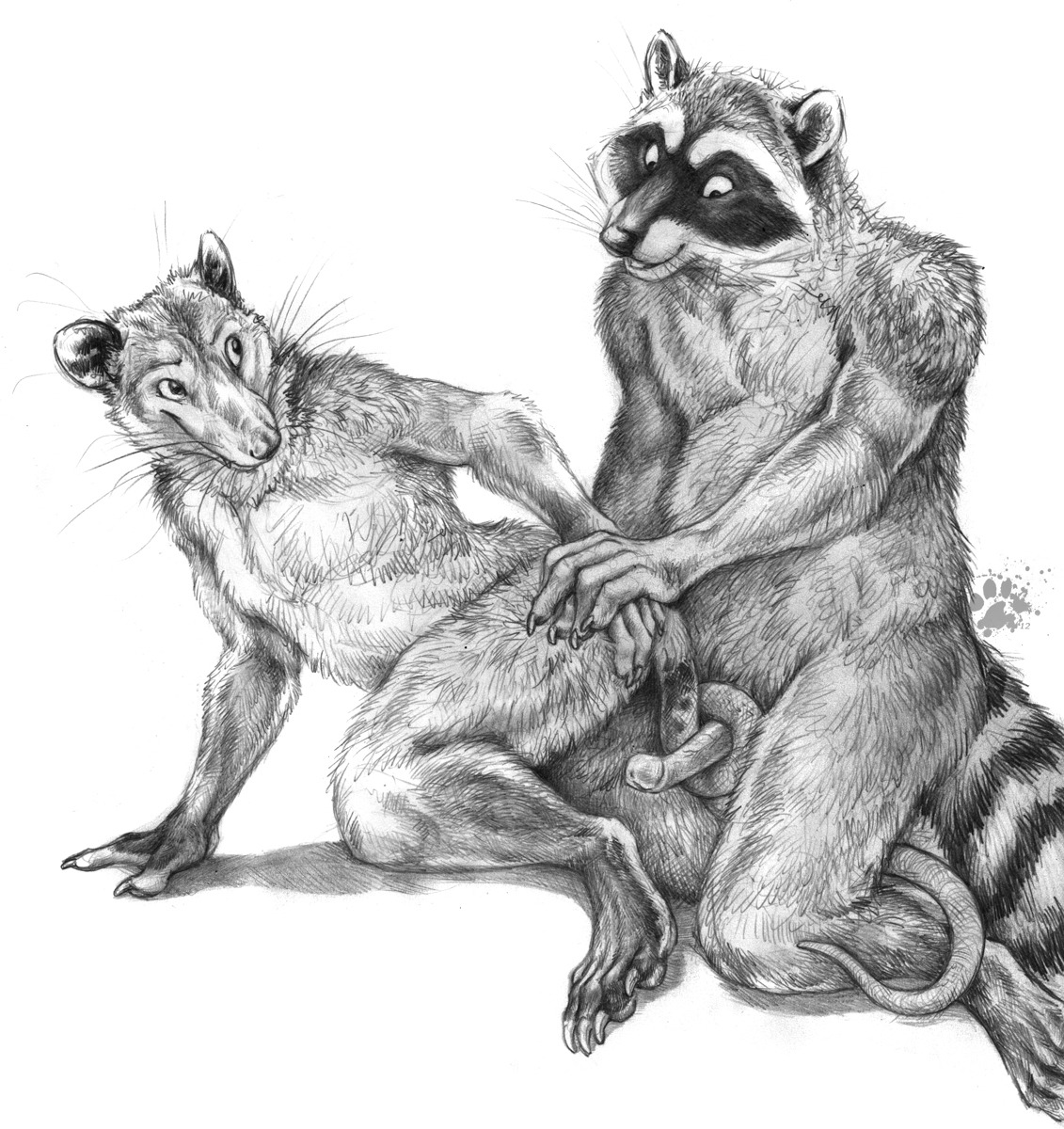 2012 american_opossum animal_genitalia anthro blotch claws curled_tail duo e621 erection finger_claws fur genitals glans greyscale happy happy_sex hi_res hybrid_genitalia hybrid_penis interspecies kneeling male male/male mammal markings marsupial monochrome nude paws penis prehensile_tail procyonid raccoon ring_(marking) ringed_tail scratches_volume_6 sex simple_background smile striped_markings striped_tail stripes tail tail_around_penis tail_fetish tail_markings tail_play tail_sex tailjob toe_claws traditional_media_(artwork) virginia_opossum whiskers white_background