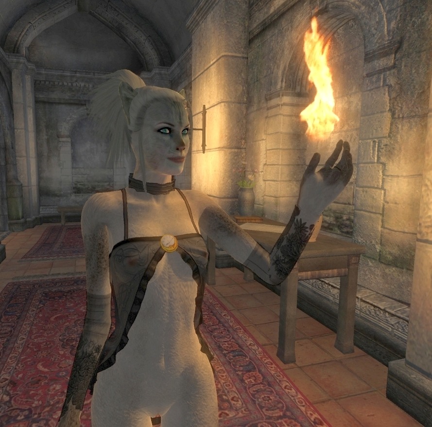 1girls 3d anthro anthro_female anthro_only artist_request female female_only game_screenshot garry's_mod khajiit oblivion rule34 solo the_elder_scrolls
