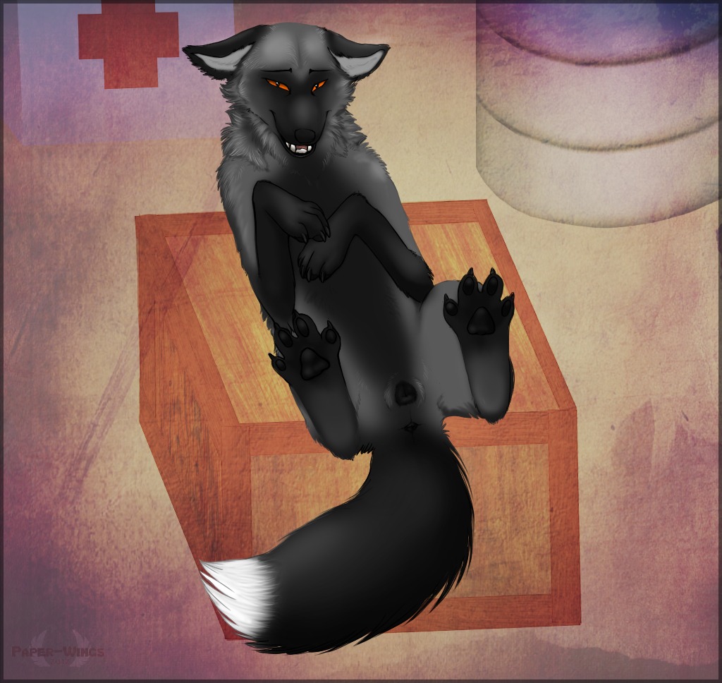 4_toes anatomically_correct anatomically_correct_genitalia anatomically_correct_vulva animal_genitalia animal_vulva anus butt canid canine canine_genitalia canine_vulva claws digitigrade e621 feet female feral fox fur genitals grey_body grey_fur hindpaw legs_up looking_at_viewer lying mammal nude on_back paper-wings pawpads paws presenting presenting_hindquarters red_fox silver_fox smile soles solo spread_legs spread_toes spreading tail toes true_fox vulva