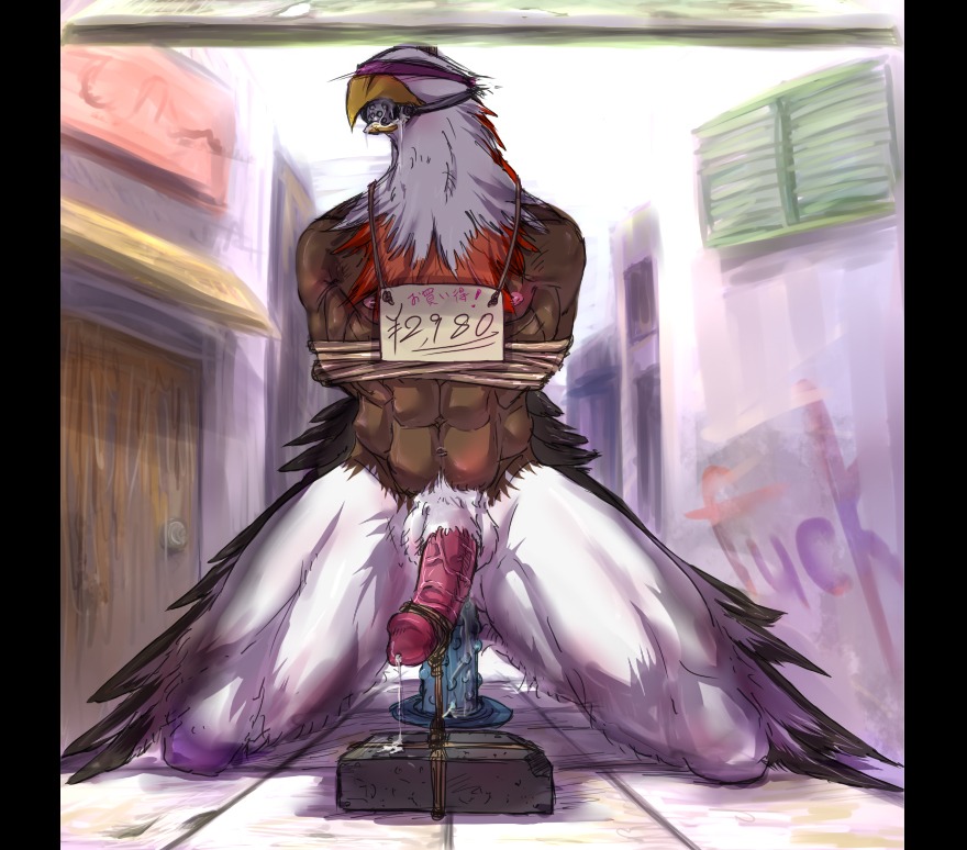 abs accipitrid accipitriform anal anal_penetration animal_genitalia anthro avian bald_eagle ball_gag balls bdsm biceps big_penis biped bird blindfold blush bodily_fluids bondage bound brick brown_body cock_and_ball_torture cum cum_drip cum_string dildo dildo_sitting dripping e621 eagle erection feathers gag genital_fluids genital_rope genital_torture genitals humanoid_genitalia humanoid_penis kneeling leaking macro male matu_petu muscular muscular_anthro muscular_male nipples non-mammal_balls nude pecs penetration penis penis_rope pexposed precum rope sea_eagle sex_toy sheath solo street submissive submissive_male vein white_body