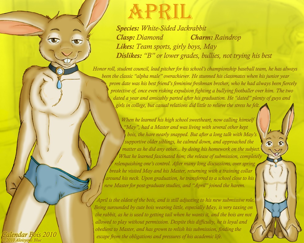 5:4 aloisyous_blue anthro april_(month) balls_outline biped bulge calendar calendar_bois chest_tuft clothed clothing collar crossdressing detailed_bulge e621 english_text femboy fur genital_outline hare harem_boy kneeling lagomorph leporid looking_at_viewer male mammal skimpy slave solo story teeth text tuft underwear