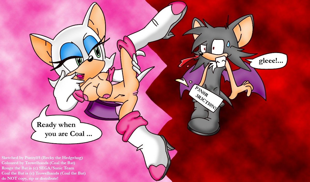 anthro auntymoira bat breasts fan_character female male mammal nipples purity pussy rouge_the_bat rule34 sonic_(series) tagme wings