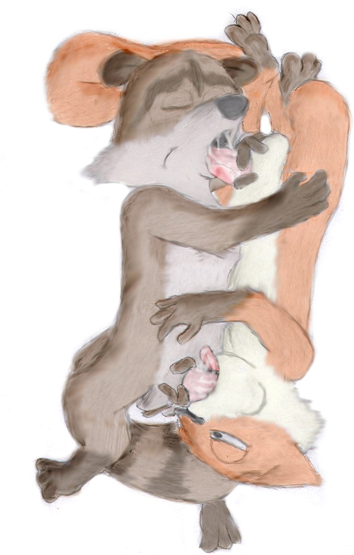 2007 2boys 69 69_position anthro dreamworks duo fellatio furry gay hammy_(over_the_hedge) interspecies male male/male male_only mammal oral oral_sex over_the_hedge paramount_pictures raccoon rj_(over_the_hedge) rodent rule34 squirrel tagme yaoi