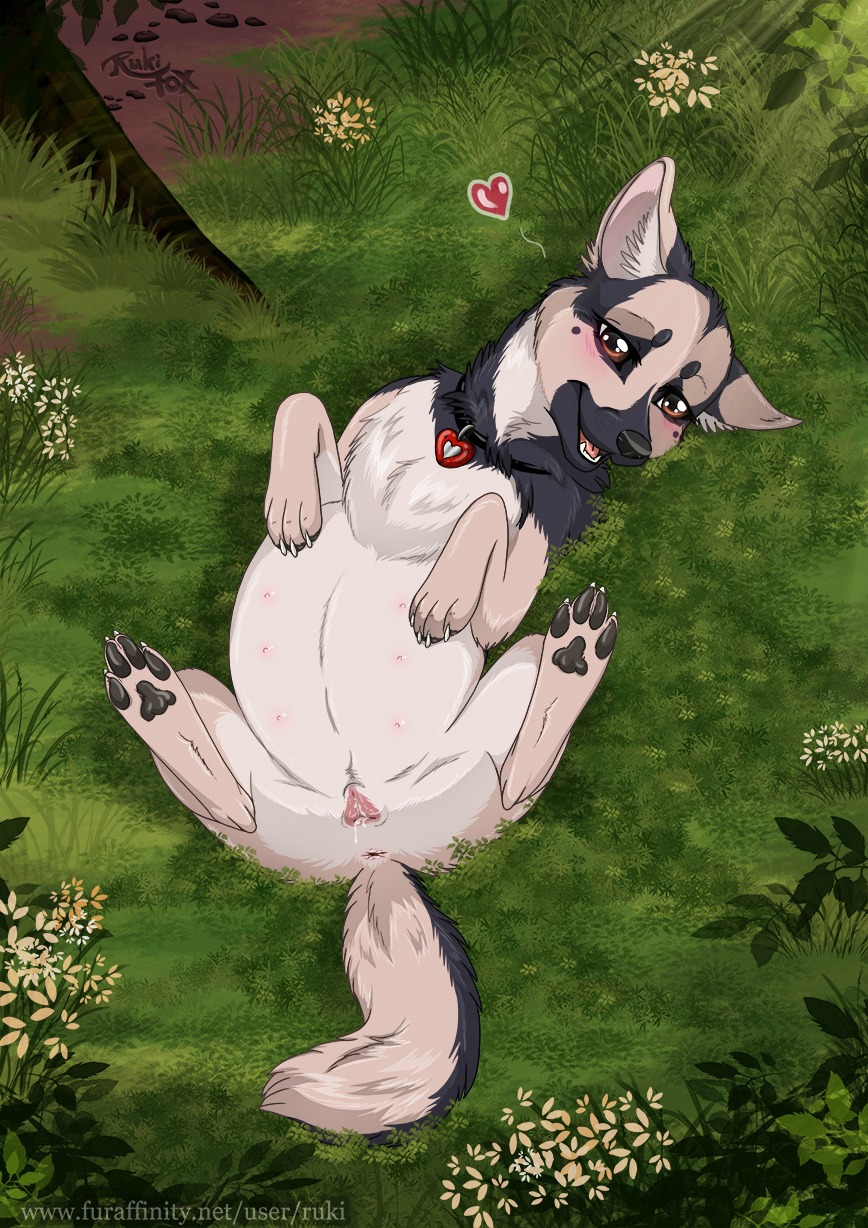 anatomically_correct anatomically_correct_genitalia anatomically_correct_vulva animal_genitalia animal_vulva anus belly big_belly blush bodily_fluids canid canine canine_genitalia canine_vulva canis collar cum domestic_dog e621 female feral fur genital_fluids genitals german_shepherd grass heart_symbol herding_dog hi_res looking_at_viewer lying mammal multi_nipple nipples open_mouth outside pastoral_dog pawpads paws plant pregnant pregnant_female pregnant_feral presenting rukifox solo tongue vulva