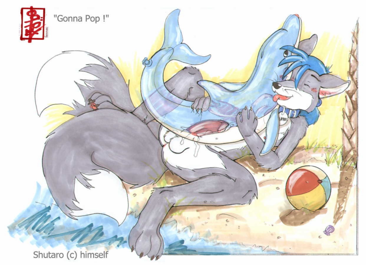anthro ball balls beach beach_ball bodily_fluids canid canine collar cum e621 erection fennec_(artist) fox genital_fluids genitals humanoid_genitalia humanoid_penis inflatable inflatable_fetish male mammal masturbation multi_tail outside penetration penile penile_masturbation penis pool_toy seaside shutaro solo tail