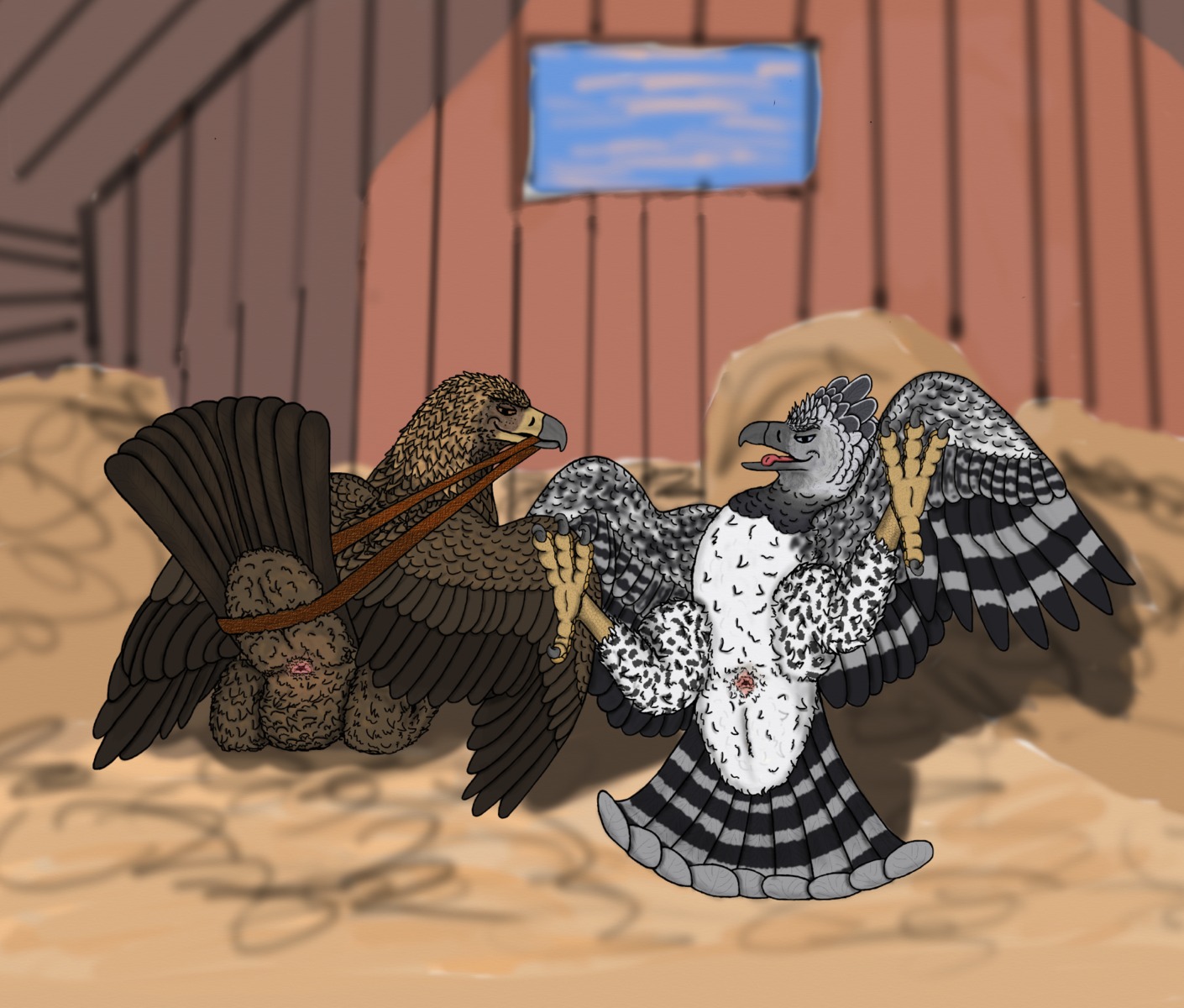 accipitrid accipitriform anatomically_correct anatomically_correct_genitalia animal_genitalia avian avian_butt avian_feet bird claws cloaca duo e621 eagle feathered_wings feathers feet feral ferobird genitals golden_eagle harpy_eagle hi_res male pinup pose presenting presenting_cloaca ritchie_(ferobird) round_cloaca sawyer_(ferobird) take_your_pick talons toe_claws toes true_eagle wings