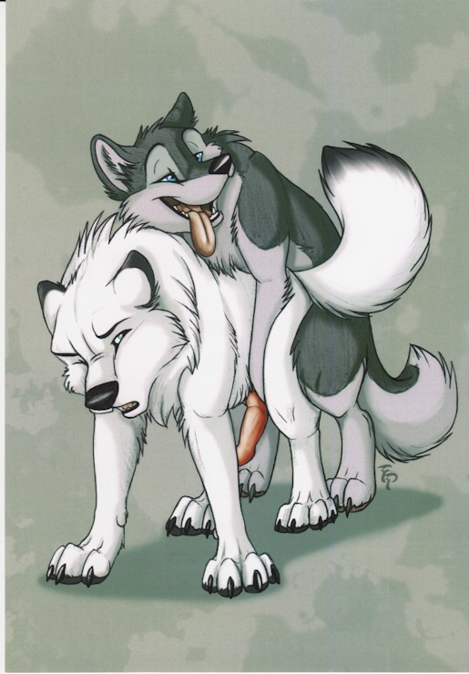 all_fours anal black_nose blue_eyes canine doggy_style feral feral_on_feral from_behind furry gay humping male mount open_mouth penis quad rule34 sex tani_da_real tongue white_fur wolf