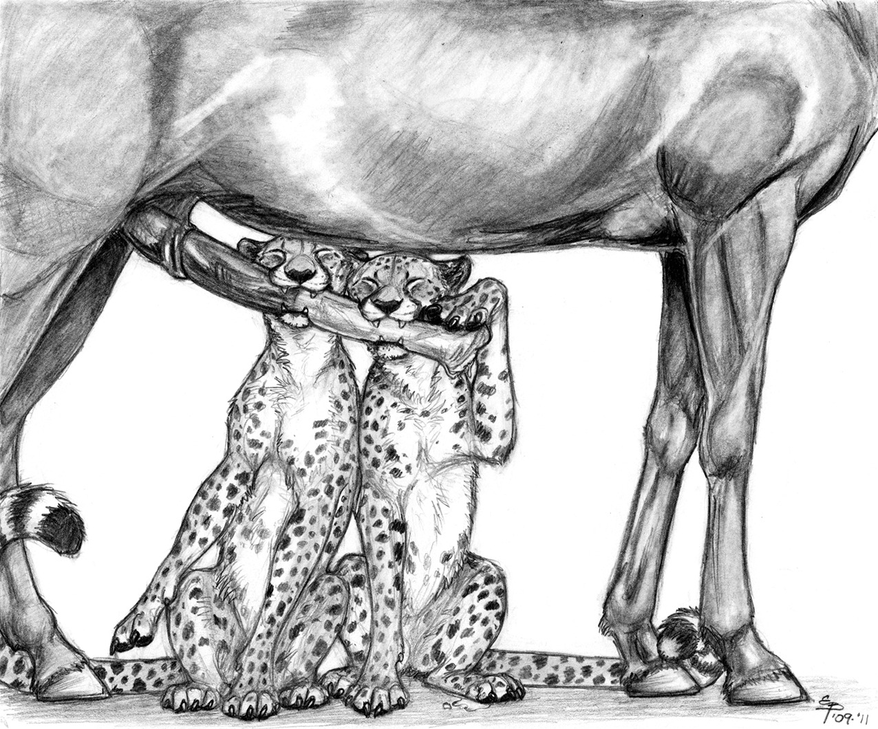 ambiguous_gender anatomically_correct anatomically_correct_genitalia anatomically_correct_penis animal_genitalia animal_penis bite bodily_fluids cheetah claws cum e621 ebonytigress equid equine equine_genitalia equine_penis erection eyes_closed fangs felid feline fellatio feral genital_danger_play genital_fluids genitals graphite_(artwork) group happy hooves horse interspecies larger_male male mammal monochrome oral penile penis penis_bite predator/prey sex sitting size_difference smile spots standing tail teeth traditional_media_(artwork) trusting