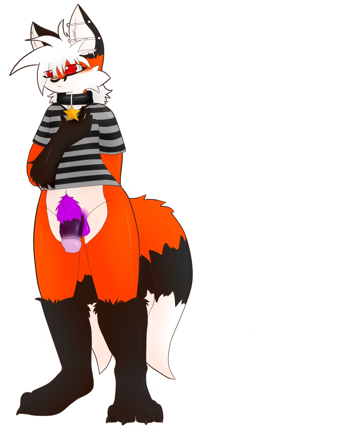 absurd_res anthro balls canid canine circumcised circumcision_scar clothing collar e621 femboy flaccid fluffy fox genital_scar genitals hi_res humanoid_genitalia humanoid_penis male mammal penis piercing red_fox scar shirt solo star tail topwear true_fox twi twifoxy
