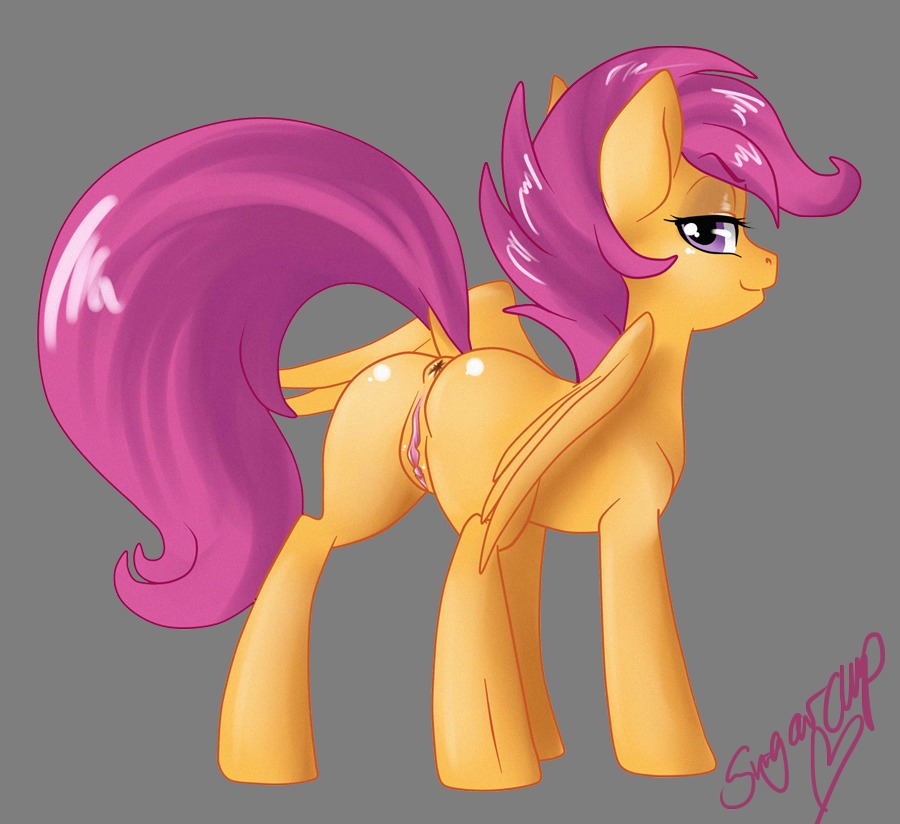 2013 alpha_channel anus butt e621 equid equine feathered_wings feathers female feral friendship_is_magic genitals hair hasbro looking_back mammal milk-jug my_little_pony mythological_creature mythological_equine mythology orange_body orange_feathers pegasus purple_eyes purple_hair quadruped scootaloo_(mlp) signature simple_background smile solo tail transparent_background vulva wings young young_feral