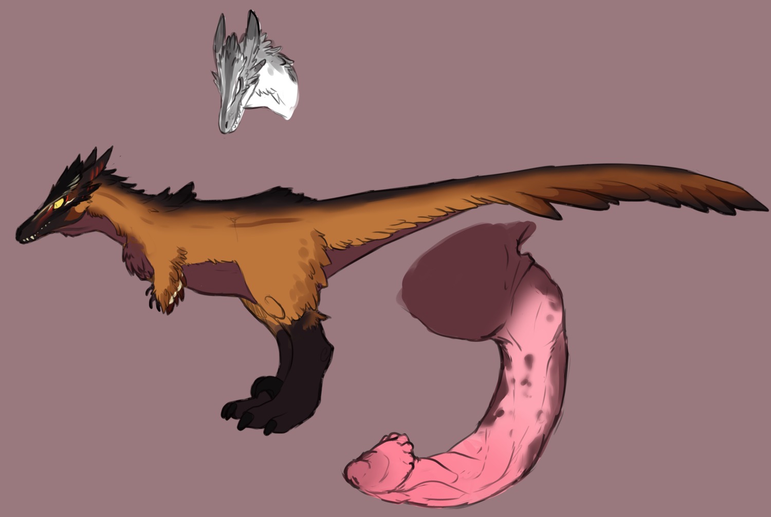 absurd_res austroraptor black_claws brown_body brown_feathers claws curved_penis daunte dinosaur disembodied_penis dromaeosaurid duo e621 erection feathered_dinosaur feathered_scalie feathered_wings feathers feral genitals hi_res juba male model_sheet penis prehistoric_species reptile saurischian scalie side_view solo_focus tail tailbutt teeth theropod velociraptor wings