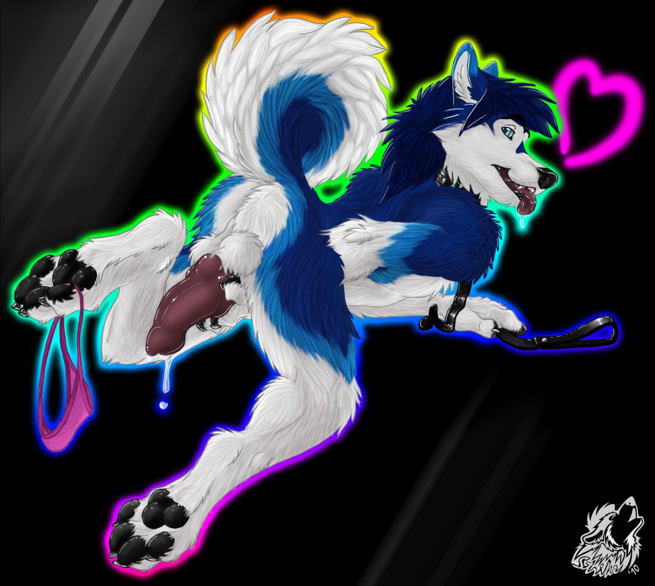 2010 all_fours animal_genitalia animal_penis anthro backsack balls bent_over big_balls big_penis biped black_background blue_body blue_eyes blue_fur blue_hair bodily_fluids butt canid canine canine_genitalia canine_penis canis clothing codestrike collar colorful_theme curled curled_tail domestic_dog dripping drooling e621 erection fluffy fur genital_fluids genitals glowing gradient_background hair heart_symbol hi_res husky knot leash looking_at_viewer male mammal nordic_sled_dog nude pawpads paws penis penis_backwards precum presenting presenting_hindquarters rainbow raised_tail saliva simple_background solo spitz strike tail thong tongue tongue_out underwear white_body white_fur