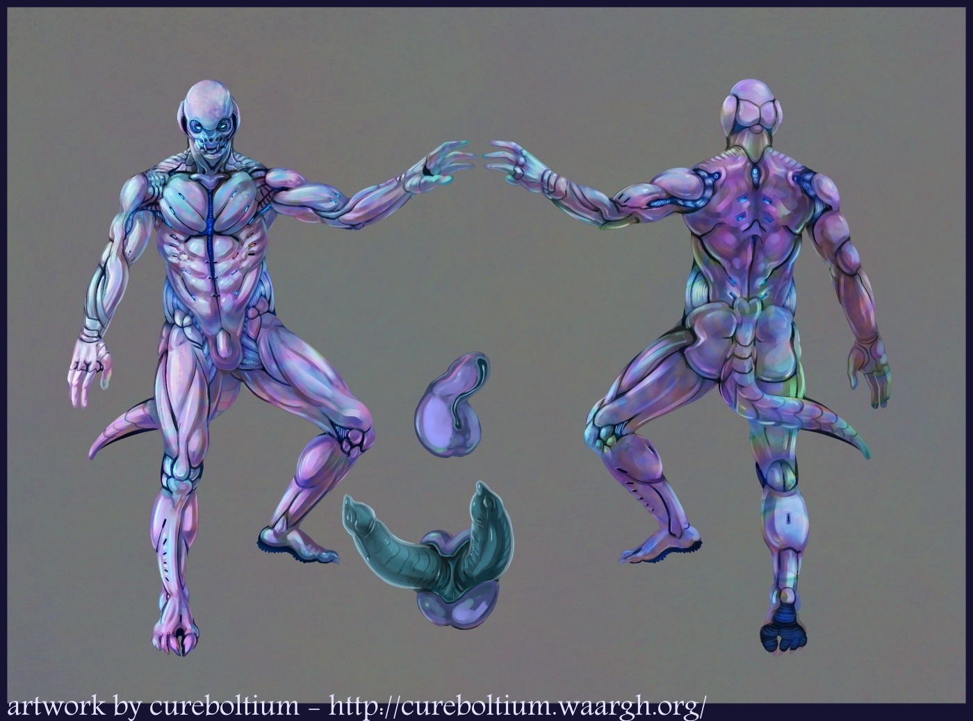 2011 2_penises android animal_genitalia animal_penis balls blue_border border cureboltium digital_media_(artwork) e621 erection genitals grey_background hemipenes machine male model_sheet multi_genitalia multi_penis muscular muscular_male penis robot sheath simple_background solo tail