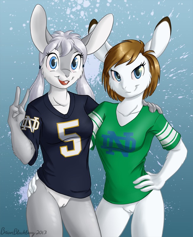 2013 american_football anthro bottomless bottomless_anthro bottomless_female breasts brian_mcpherson brown_hair casual_exposure clothed clothing college_football competition_number duo e621 female fur genitals gesture grey_body grey_fur hair hand_gesture jersey lagomorph leporid mammal ncaa notre_dame_fighting_irish number number_on_clothing number_on_jersey number_on_topwear number_print print_clothing print_jersey print_topwear rabbit shirt sport text text_on_clothing text_on_shirt text_on_topwear topwear v_sign vulva white_body white_fur white_hair