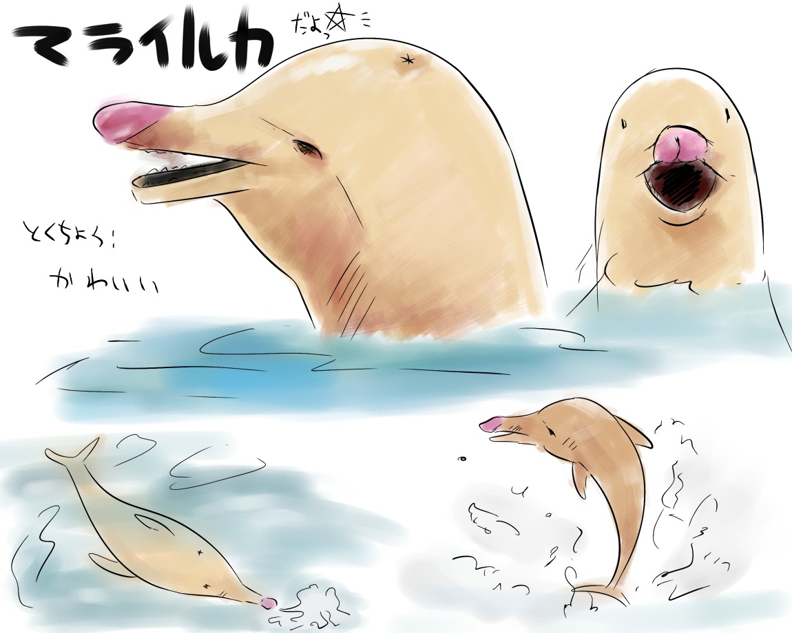 color dolphin front_view japanese_text male male_only multiple_views nude rule34 side_view solo text translation_request water