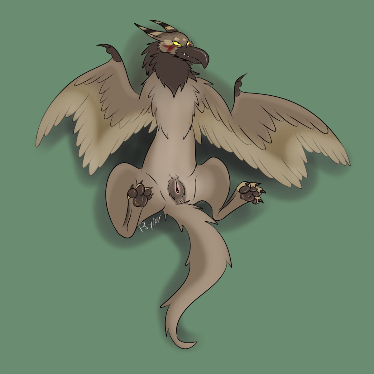1:1 2012 4_toes anus avian blush claws conditional_dnp digitigrade e621 feathered_wings feathers feet female feral genitals hi_res hindpaw lying nude on_back pawpads paws presenting psy101 simple_background soles solo spread_legs spreading tail tan_body tan_feathers toes vulva wings