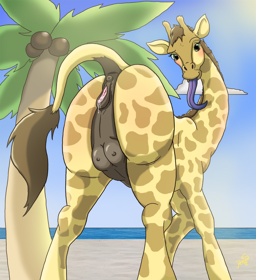 2014 all_fours animal_genitalia animal_vulva anus beach blush bodily_fluids butt cloud coconut detailed_background drupe_(fruit) e621 equine_genitalia equine_vulva female feral food fruit fur genital_fluids genitals giraffe giraffid horn horsen long_tongue looking_at_viewer looking_back low-angle_view mammal nipples nude ossicone outside palm_tree plant purple_tongue sand sea seaside sky solo standing teats tongue tongue_out tree vaginal_fluids vulva water