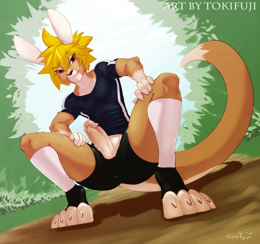 anthro blonde_hair clothing countershading crouching e621 erection footwear fur genitals hair humanoid_genitalia humanoid_penis kangaroo legwear licking licking_lips licking_own_lips looking_at_viewer macropod male mammal marsupial penis self_lick socks solo tail text toeless_footwear toeless_socks tokifuji tongue tongue_out