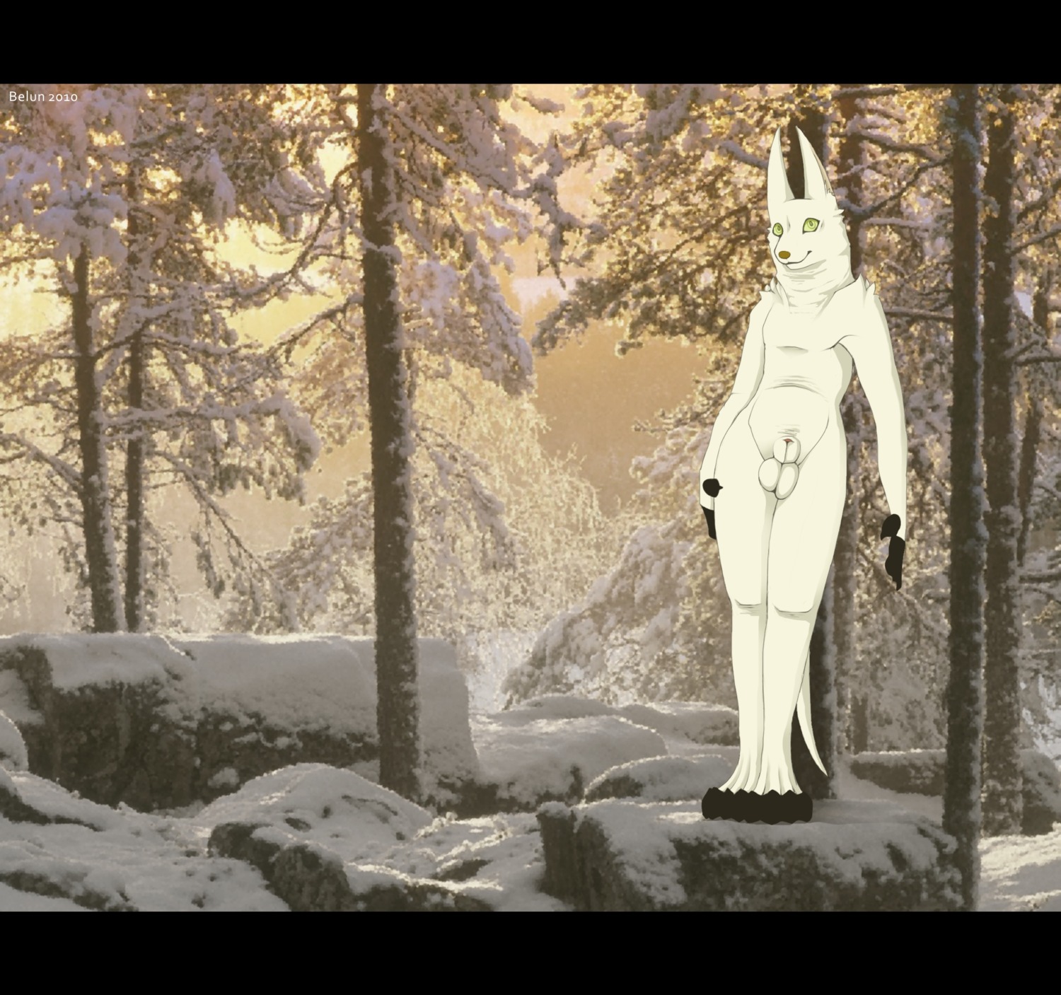 2010 4_toes animal_genitalia anthro arctic_fox balls belun biped black_bars canid canine claws day e621 feet fingerless_(marking) fox front_view fully_sheathed genitals green_eyes hi_res looking_at_viewer male mammal nude outside plant sheath sky smile snow solo standing tail toeless_(marking) toes tree true_fox winter