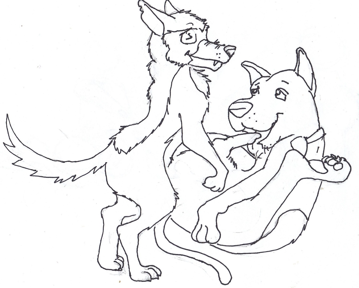 all_dogs_go_to_heaven anal anal_penetration anal_sex black_and_white canine charlie_barkin crossover dog feral furry gay german_shepherd great_dane hanna-barbera lick licking male male_only monochrome nude rule34 scooby-doo scooby-doo_(character) self_lick sex tagme yaoi