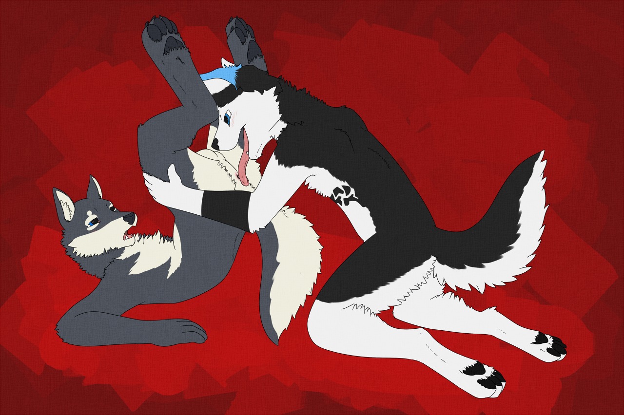 anal anthro anus balls black_body black_fur blue_eyes canid canine canis domestic_dog duo e621 feet fur genitals grey_body grey_fur hindpaw keeper_utonagan lying male male/male male_penetrated male_penetrating male_penetrating_male mammal on_back oral paws penetration rimming sex snowykun tongue ukkiaressa