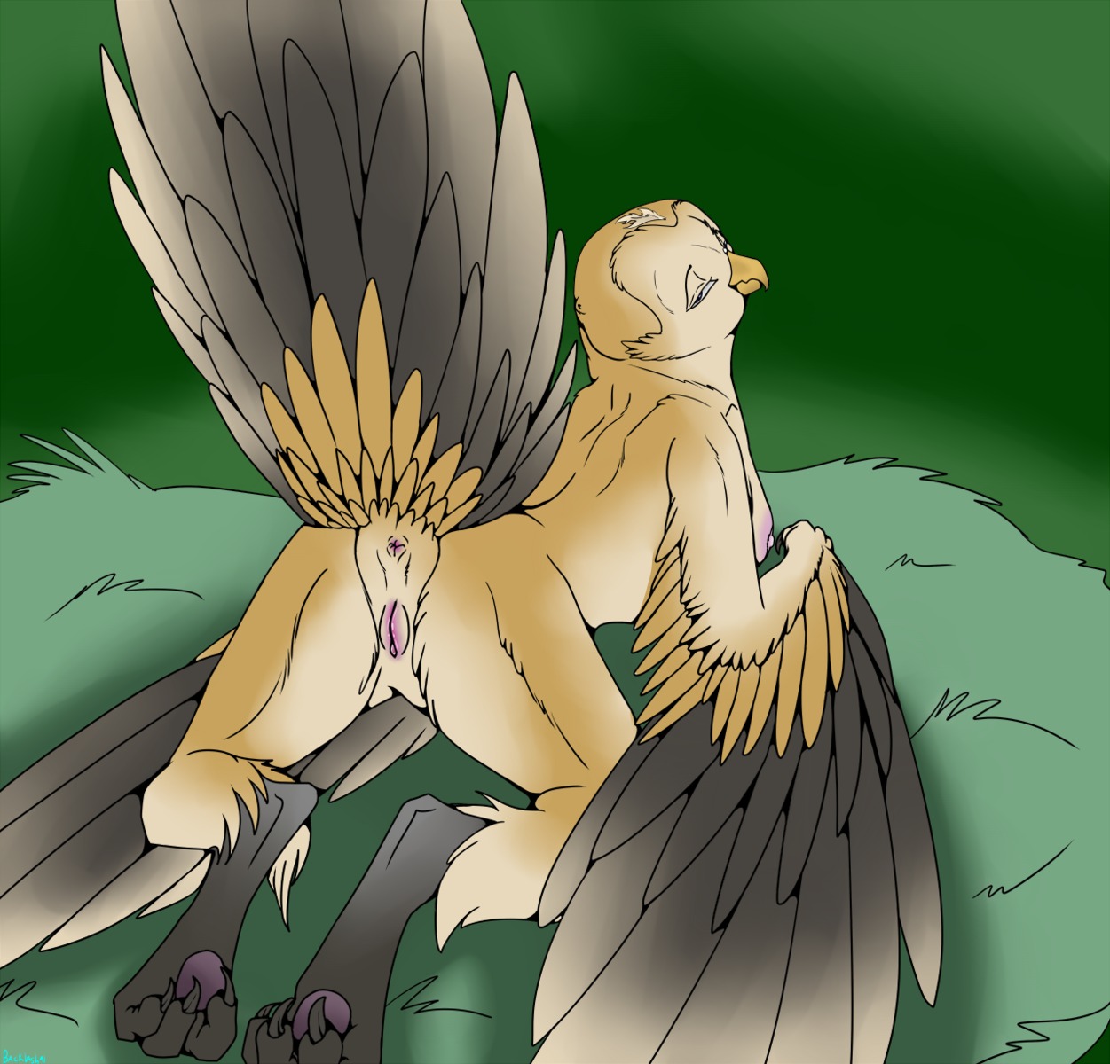 anthro anus avian backlash91 barn_owl beak bird blue_eyes breasts butt claws conditional_dnp digital_media_(artwork) digitigrade e621 feathered_wings feathers feet female genitals hi_res looking_at_viewer looking_back nipples non-mammal_breasts non-mammal_nipples nude owl presenting presenting_hindquarters raised_tail solo tail tail_feathers talons toes tyto tytonid vulva winged_arms wings