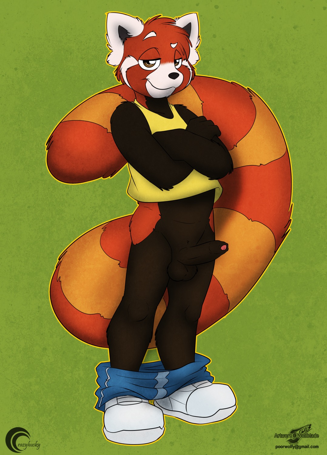 absurd_res ailurid anthro balls biped bottomwear bottomwear_down clothed clothing crazy-husky e621 erection footwear foreskin genitals hi_res humanoid_genitalia humanoid_penis male mammal pants pants_down partially_clothed penis red_panda shoes solo tail wolfblade young young_anthro young_male