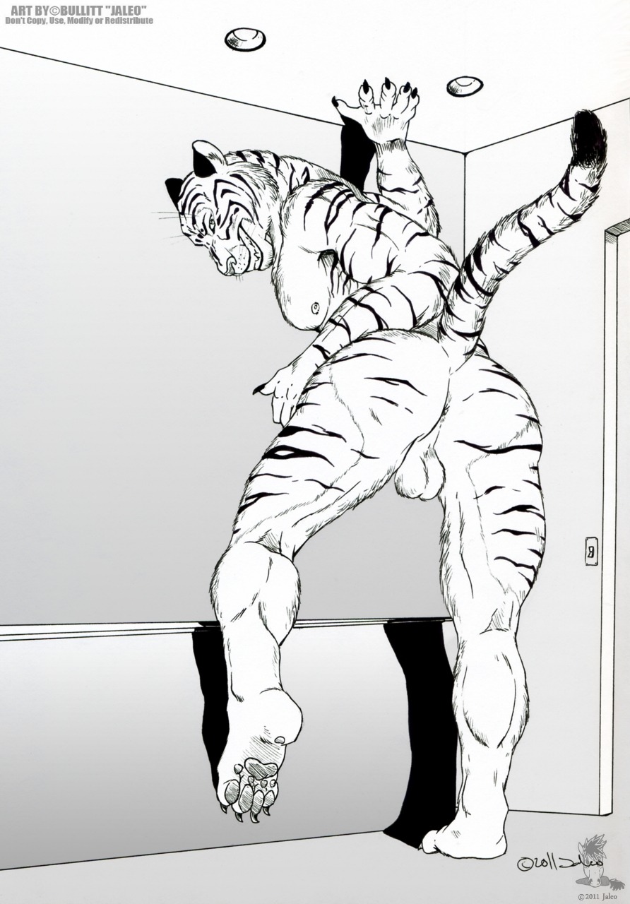 1boy anthro anus ass feline fur furry jaleo looking_at_viewer male male_only muscles nude pose raised_tail rule34 solo tail