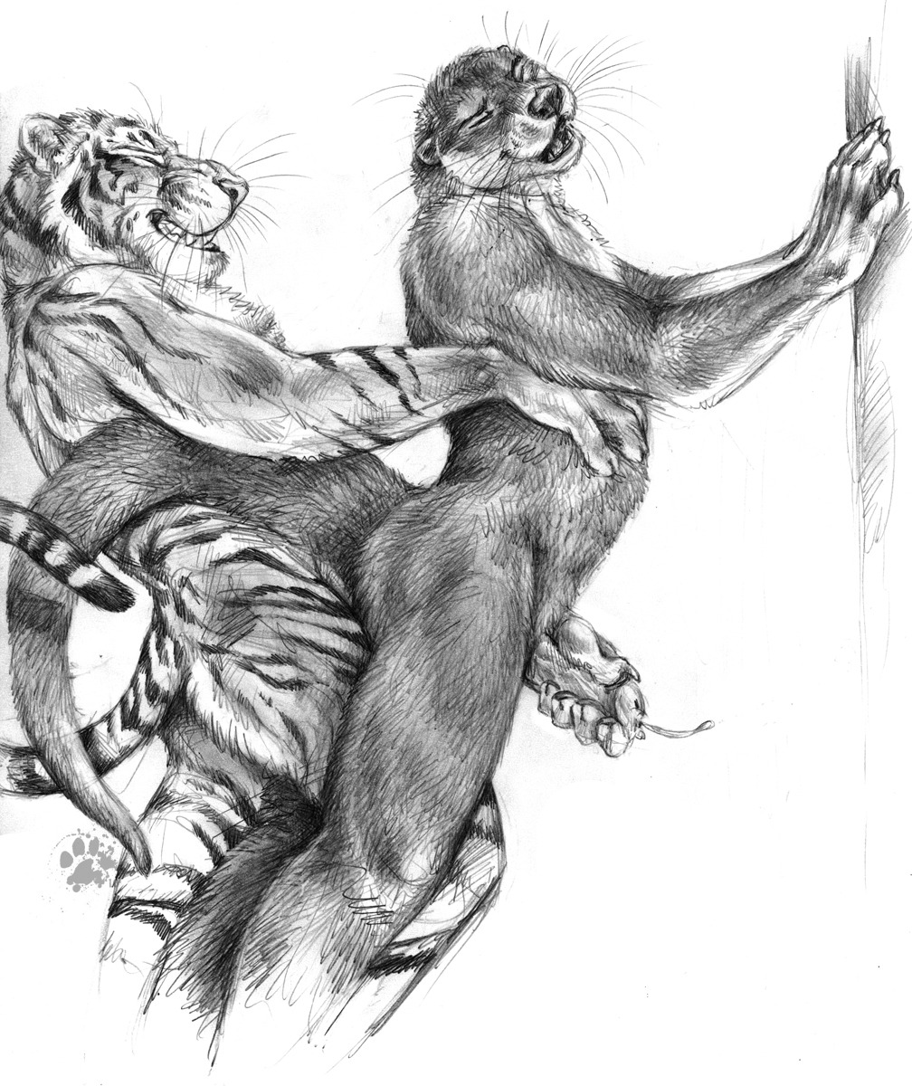 2010 against_surface against_wall anal anal_penetration animal_genitalia anthro balls_deep blotch bodily_fluids butt claws clenched_teeth cum cum_while_penetrated cumshot duo e621 ejaculation erection eyes_closed felid feline finger_claws from_behind_position fur genital_fluids genitals greyscale handjob hi_res interspecies male male/male male_penetrating mammal monochrome mustelid nude open_mouth orgasm otter pantherine pawpads paws penetration penile penis raised_tail reach_around scratches_volume_4 sex simple_background standing stripes tail teeth thick_tail tiger traditional_media_(artwork) whiskers white_background