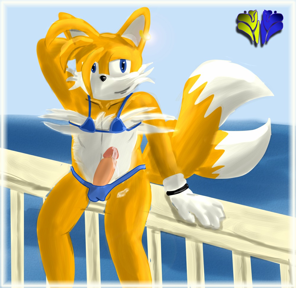 anthro canine fox fur furry_tail male male_only multi_tail rule34 sonic_(series) sonic_the_hedgehog_(series) sonic_the_hedgehog_2 tagme tail tails tails_the_fox
