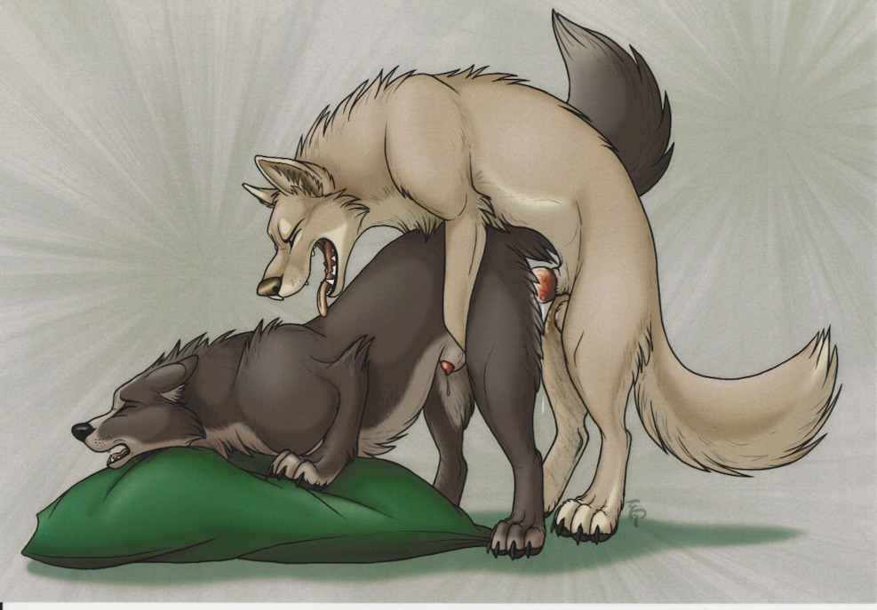 all_fours anal ass ass_up balls canine closed_eyes doggy_style feral feral_on_feral from_behind gay humping knot male mounting open_mouth penetration penis pillow quad rule34 sex sheath tani_da_real tongue wolf