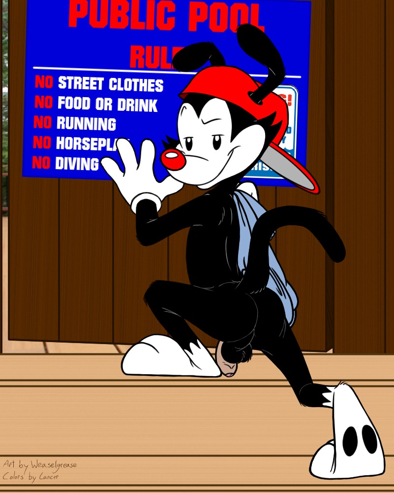 against_surface against_wall animaniacs anthro backsack balls black_body black_fur butt clothing e621 english_text flaccid foreskin fur genitals hat headgear headwear humanoid_genitalia humanoid_penis inkblot looking_at_viewer looking_back looking_back_at_viewer male mammal nude penis plantigrade presenting presenting_hindquarters public raised_heel raised_tail solo standing_on_toes tail text tiptoes wakko_warner warner_brothers weaselgrease