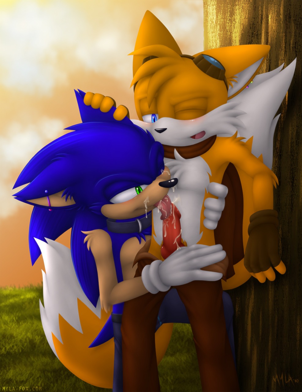 animal_genitalia animal_penis anthro anthro_on_anthro blue_body blue_fur bodily_fluids canid canine canine_genitalia canine_penis clothing cum dipstick_tail duo e621 erection eulipotyphlan fox fur genital_fluids genitals hedgehog hi_res knot licking male male/male male_penetrated male_penetrating male_penetrating_male mammal markings miles_prower mylafox oral penetration penile penis penis_lick sega sex sonic_the_hedgehog sonic_the_hedgehog_(series) sucking tail tail_markings tongue tongue_out