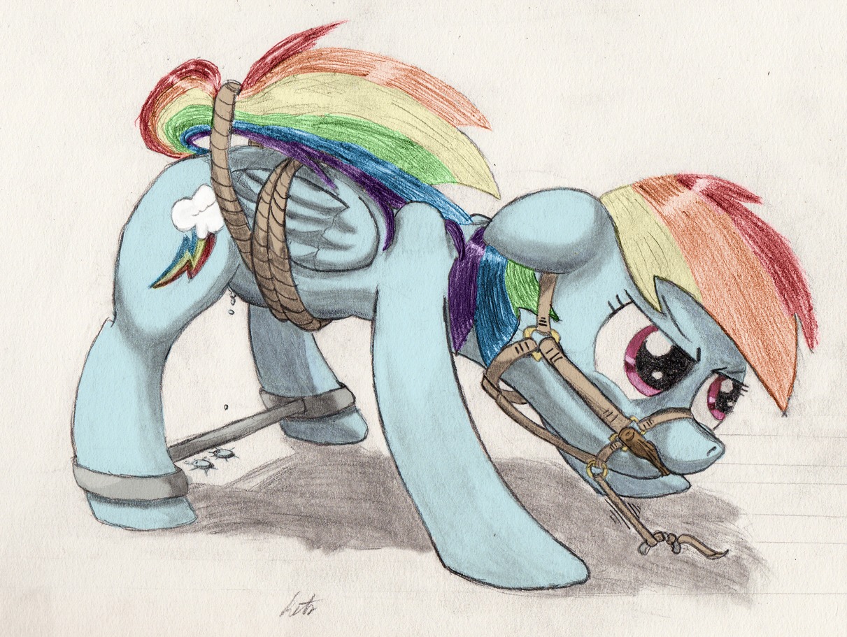 bdsm bit_gag blue_body blue_feathers blue_fur bound bridle cutie_mark e621 equid equine feathered_wings feathers female feral friendship_is_magic fur gag gagged hair hasbro kitsuneymg mammal multicolored_hair multicolored_tail my_little_pony mythological_creature mythological_equine mythology pegasus petplay ponyplay purple_eyes rainbow_dash_(mlp) rainbow_hair rainbow_tail restrained restraints roleplay rope simple_background solo spread_legs spreader_bar spreading submissive submissive_female tail wet white_background wings