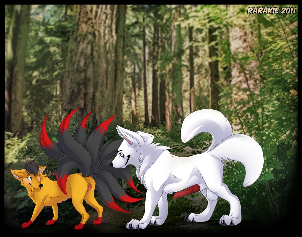 2011 2_tails anatomically_correct anatomically_correct_genitalia anatomically_correct_vulva animal_genitalia animal_vulva arctic_wolf balls blush butt canid canine canine_genitalia canine_vulva canis detailed_background duo e621 erection female feral forest fox fur genitals kira_redpaw knot looking_back male male/female mammal multi_tail nature nude orange_body orange_fur outside penis plant presenting presenting_hindquarters raised_tail rarakie rio_redpaw tail teats tree vulva white_body white_fur wolf wood