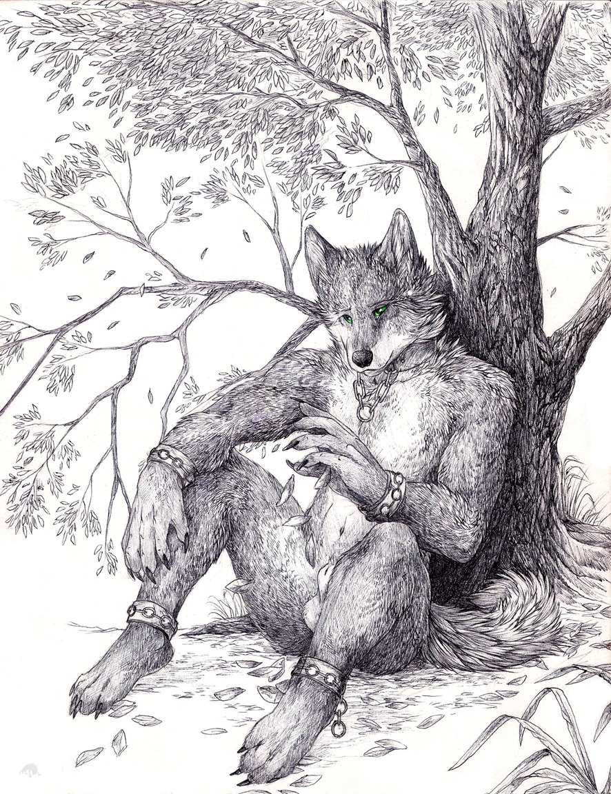 2011 animal_genitalia anthro balls canid canine canis casual_nudity chain e621 fully_sheathed genitals greyscale jewelry male mammal monochrome necklace nude nukerooster outside plant scenery sheath sketch solo tail tree wolf wood