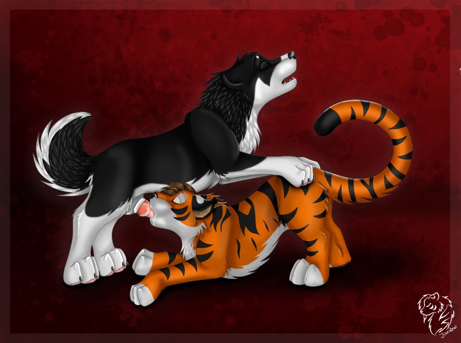 2008 ass ass_up canine feline fellatio feral gay josepaw knot male no_humans oral oral_sex penis rule34 sex tiger