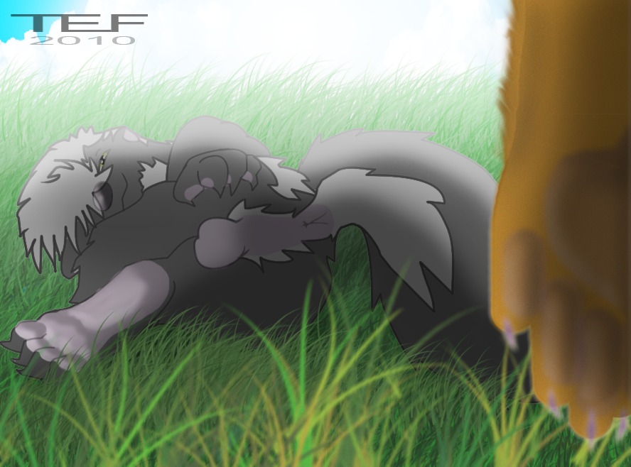 anthro anus backsack balls butt cloud countershading e621 genitals male mammal mephitid nude outside presenting skunk sky solo striped_skunk tail tef
