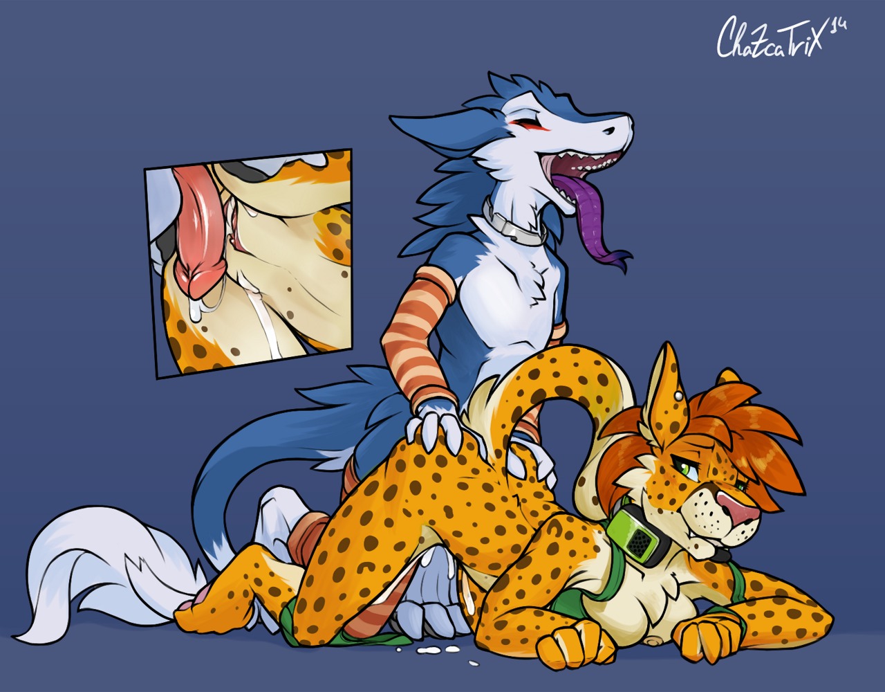 2014 after_sex all_fours anthro arm_warmers armwear balls big_breasts bite biting_lip biting_own_lip blue_body blue_fur blush bodily_fluids breasts butt chazcatrix cheetah chest_tuft clitoris clothed clothing collar cum cum_in_vagina cum_inside doggystyle duo e621 ear_piercing electronics erection eyes_closed felid feline female from_behind_position fur genital_fluids genitals green_eyes hair happy happy_sex headphones kansi kneeling leg_warmers legwear letterbox lips looking_back male male/female mammal markus_(dowantanaccount) nipples nude off_shoulder open_mouth orgasm pattern_armwear pattern_clothing paws penis piercing pink_nose raised_tail red_hair self_bite sergal sex simple_background smile spots spread_legs spreading striped_armwear striped_clothing stripes tail teeth tongue tongue_out tuft vaginal vaginal_fluids vulva