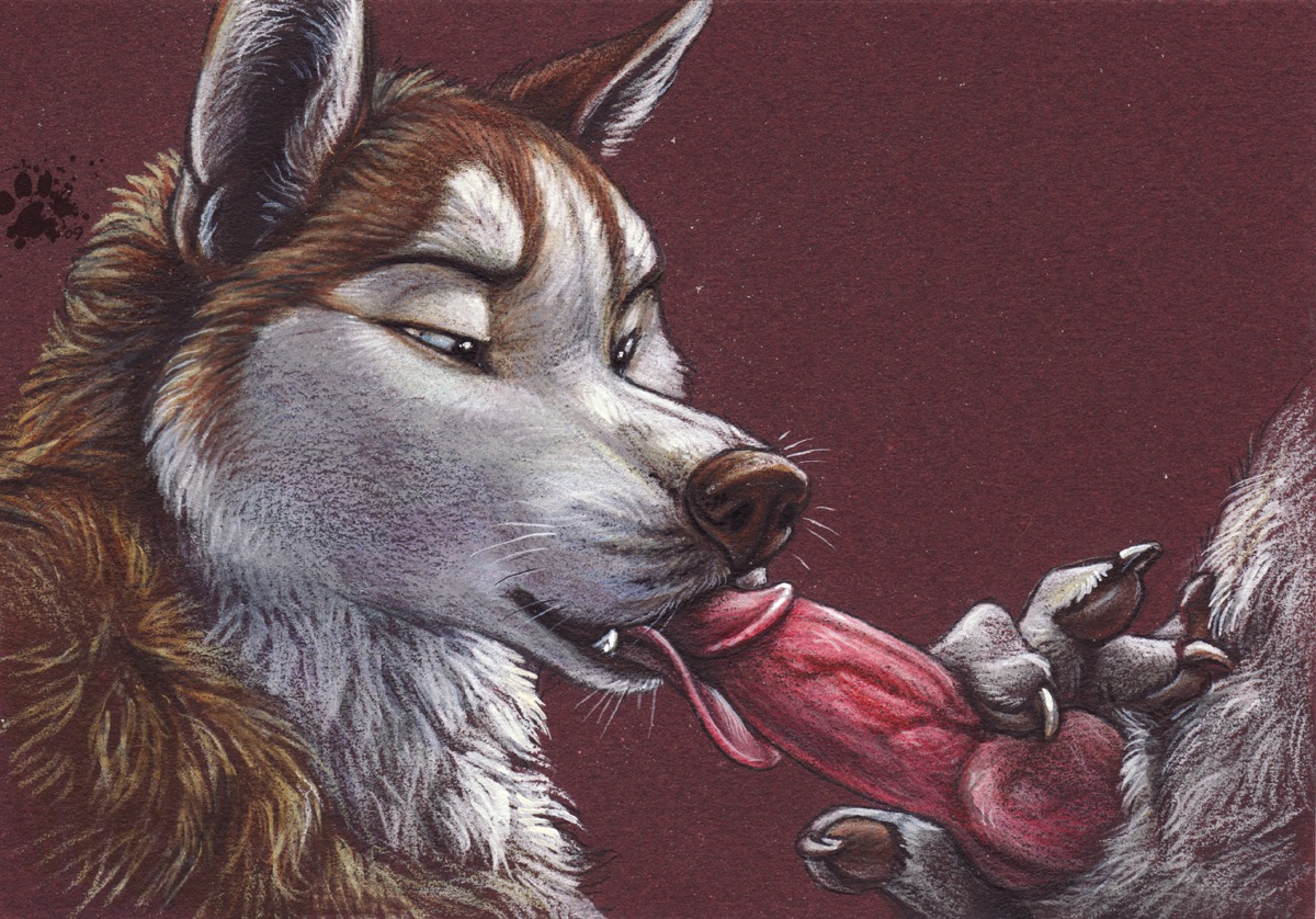 2009 animal_genitalia animal_penis anthro blotch blue_eyes brown_nose canid canine canine_genitalia canine_penis canis claws disembodied_penis domestic_dog duo e621 erection fellatio finger_claws fur genitals humanoid_genitalia humanoid_penis husky hybrid_genitalia hybrid_penis knot knotted_humanoid_penis knotted_penis licking male male/male male_penetrated male_penetrating male_penetrating_male mammal nordic_sled_dog oral paws penetration penile penis penis_lick scratches_volume_3 sex spitz tongue tongue_out traditional_media_(artwork) whiskers