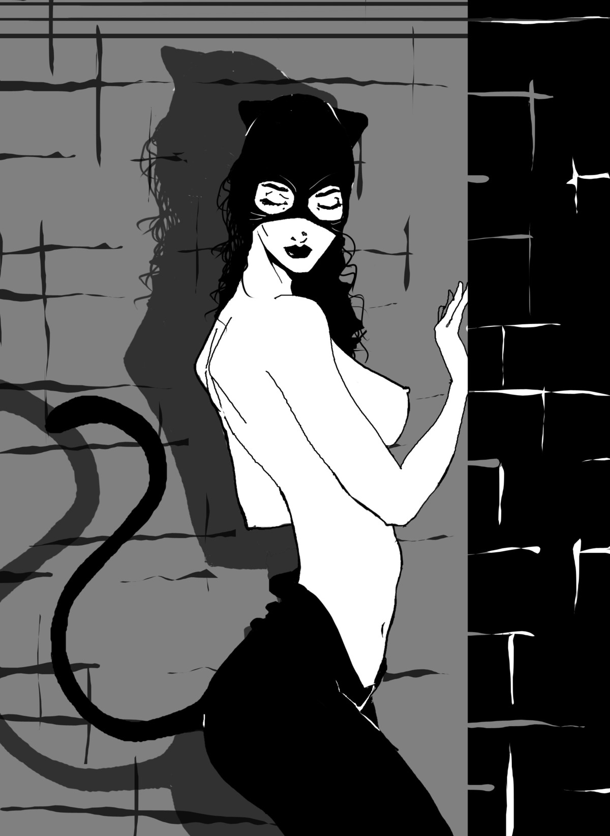 1girls batman_(series) catwoman dc dc_comics female female_only rule34 selina_kyle solo tagme
