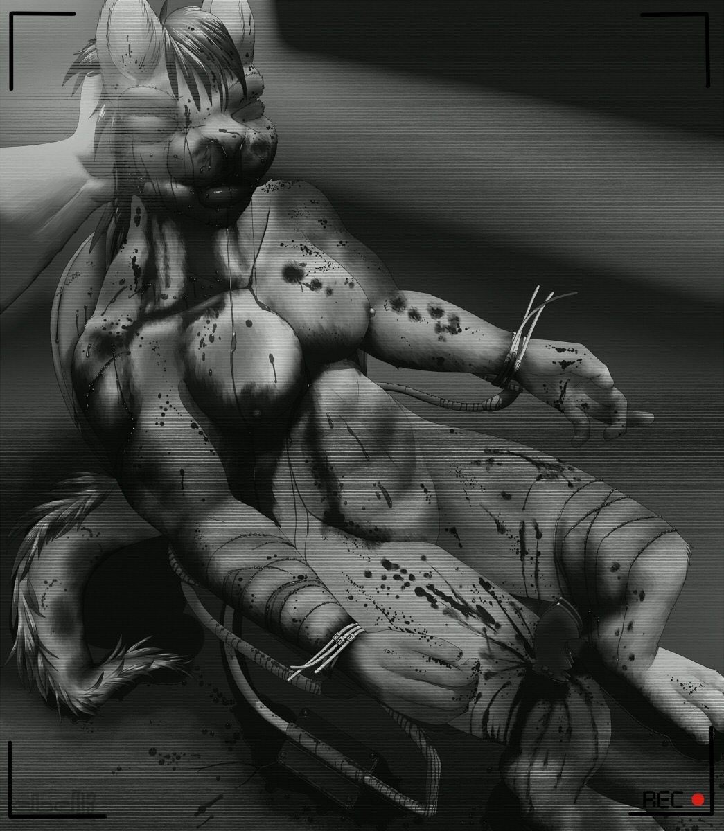 anthro blood bodily_fluids bound broken_bone broken_fingers bruised bruised_eye camera duo e621 enden endenden female gore gore_focus hi_res knife recording restrained solo_focus stab tail tankana violence zip_tie