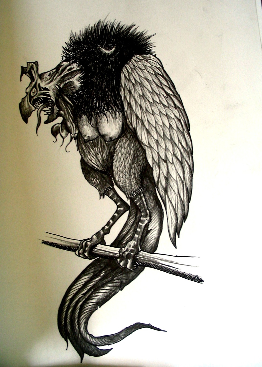 1girls celeano female female_only greek_mythology harpy monochrome monster_girl nipples no_visible_genitalia nude rule34 sharp_teeth tail tail_feathers the_last_unicorn tongue tongue_out