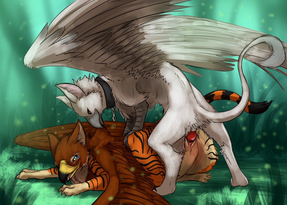ass_up avian avian_feet beak bite biting_another biting_partner cheek_tuft collar collar_ring duo e621 erection facial_tuft feathered_wings feathers felid female female_on_bottom female_penetrated feral feral_on_feral feral_penetrated feral_penetrating feral_penetrating_feral from_behind_position fur genitals gryphon knot looking_at_another looking_at_partner looking_down looking_up lying male male/female male_on_top male_penetrating male_penetrating_female mammal monotone_body monotone_fur mythological_avian mythological_creature mythology namugriff nude on_bottom on_front on_top pantherine penetration penile penile_penetration penis penis_in_vagina scruff_bite sex side_view smile spread_wings syrinoth tail tail_tuft tiger tuft vaginal vaginal_penetration vulva white_body white_fur wings