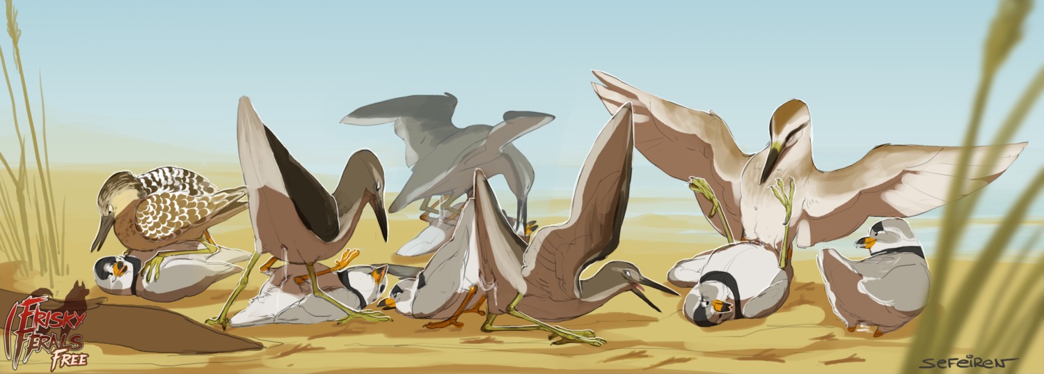 2013 ambiguous_fluids ambiguous_gender animal_genitalia ass_up avian avian_feet beach beak bird bodily_fluids buff-breasted_sandpiper cloaca cloaca_juice cloacal cloacal_kiss conditional_dnp cum cum_string e621 feathered_wings feathers feral feral_on_feral footprint frisky_ferals genital_fluids genitals green_sandpiper grinding group group_sex hi_res interspecies lying nude on_back open_mouth orgasm orgy outside piping_plover plover raised_tail sand sandpiper sea_oats seaside sefeiren sex sex_on_the_beach shorebird simple_background size_difference spread_legs spreading tail the_twelve_days_of_christmas_(song) tongue water wings wood_sandpiper