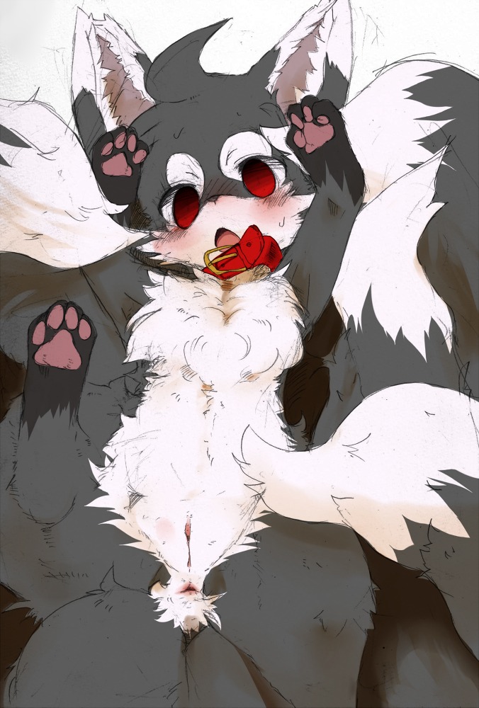 anus black_body black_fur blush canid canine chest_tuft collar countershading dagasi digital_media_(artwork) dipstick_ears dipstick_tail e621 ear_markings feet felid female feral fluffy fox fur genitals grey_body grey_fur hindpaw ingi_(character) inner_ear_fluff leg_markings lying mammal markings multi_tail multicolored_ears multicolored_tail nude on_back open_mouth pawpads paws red_eyes simple_background socks_(marking) solo surprised tail tail_markings tuft unavailable_at_source vulva white_background white_body white_fur