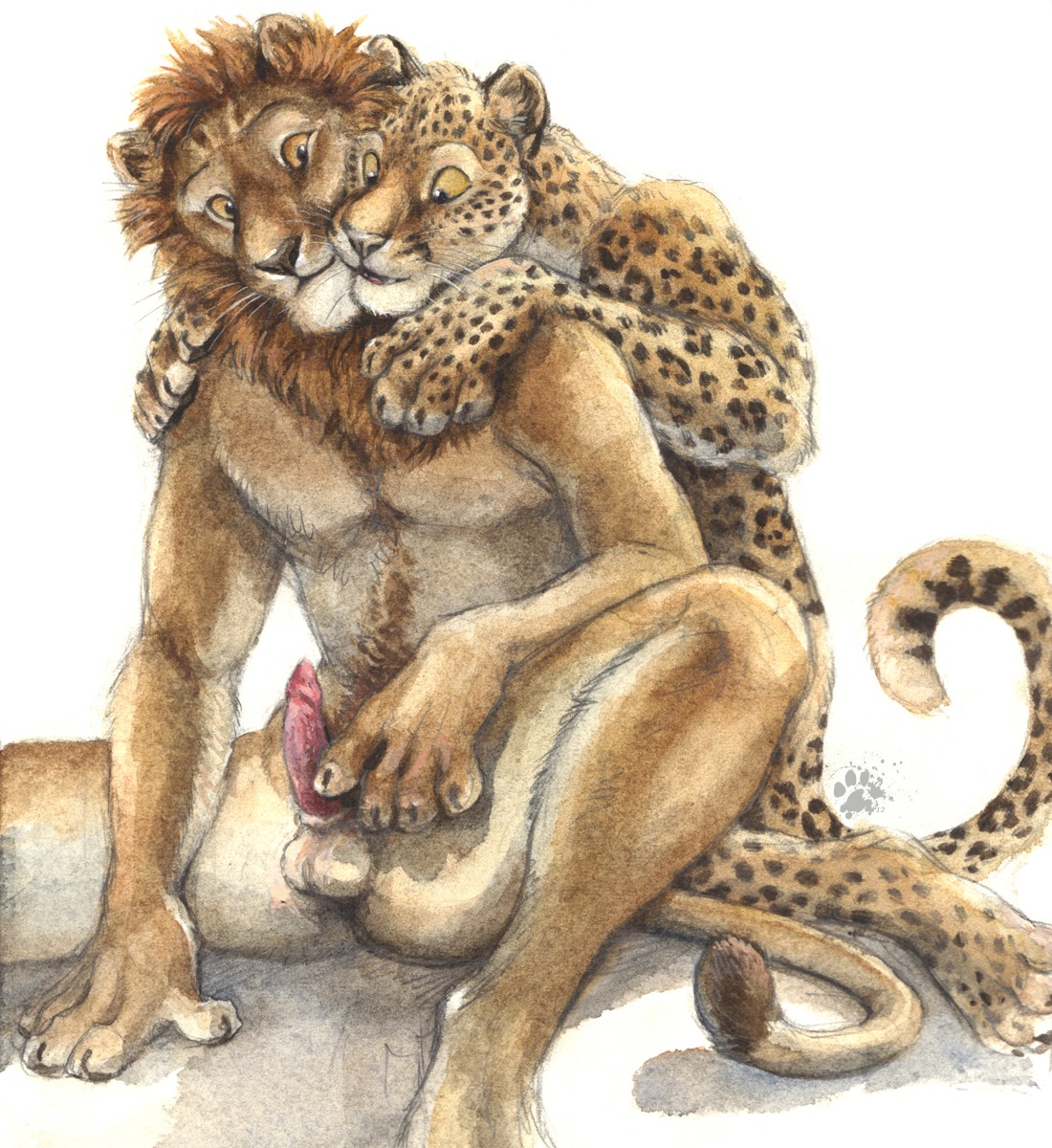 2012 animal_genitalia anthro balls blotch body_hair brown_body brown_fur duo e621 erection feet felid fur genitals happy_trail hi_res hindpaw kneeling leopard leopard_spots lion looking_down male male/male mammal mane nude pantherine paws penis scratches_volume_6 simple_background sitting spots spread_legs spreading tail tail_tuft tan_body tan_fur traditional_media_(artwork) tuft whiskers white_background yellow_eyes